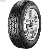 GT Radial WinterPro 2 205/55 R17 95H XL